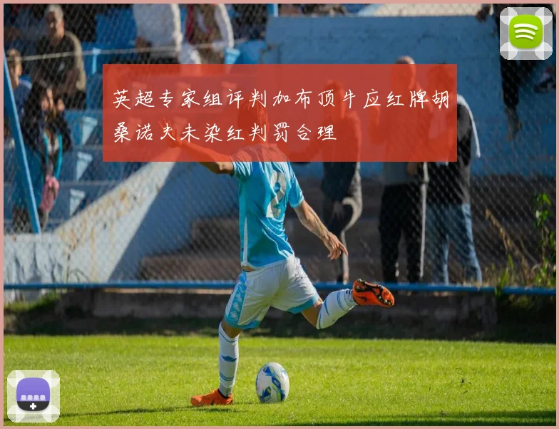 英超专家组评判加布顶牛应红牌胡桑诺夫未染红判罚合理