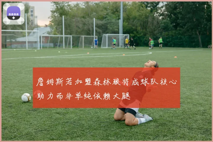 詹姆斯若加盟森林狼将成球队核心助力而非单纯依赖大腿