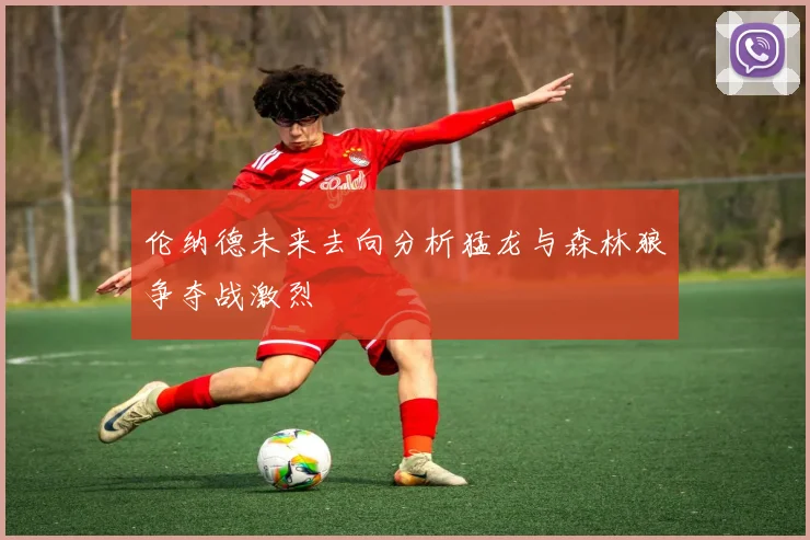 伦纳德未来去向分析猛龙与森林狼争夺战激烈