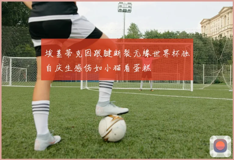 埃基蒂克因跟腱断裂无缘世界杯独自庆生感伤如小猫看蛋糕